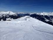 The Frommes run in Fiss