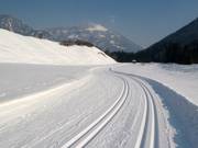 Cross-country trail in Waidring below the Steinplatte