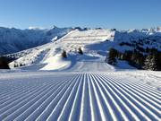 Very good slope grooming