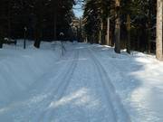 Königskron cross-country trail at the mountain station of the lifts at Bayreuther Haus