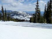 Typical forest glade run in Kimberley