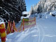 Snow cannon in Ramsau am Dachstein