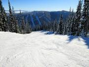 Cruiser run with views of the runs on Mt. Morrisey