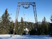 Spitzplaneck - T-bar