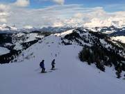 Controverse downhill run