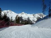 Easy family slope at the Panorama gondola