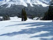 Beginner slopes at Green Chair