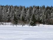 Cross-country skiing in Boží Dar
