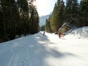 Valley run Loderbichl-Lofer