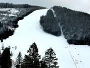 View of the FIS slope