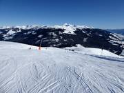 Slope No. 77 Breitmoos