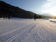 Cross-country ski trails in Seefeld