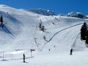 Kanonenrohrlift - T-bar