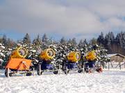 Well-equipped: Snow-making equipment on the Sahnehang
