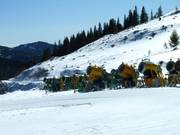 Snow cannons are not in short supply