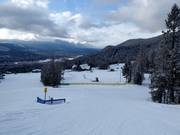 Easy slopes in the valley area of Fairmont Hot Springs