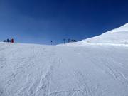 Easy slope no. 2 Wilder Mann