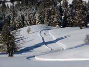 The trails are groomed for both classic and skating styles.
