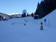 Babylift Viehhofen - Rope tow/baby lift with low rope tow