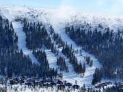 View of the challenging forest glade runs at the Solliften in Tandådalen