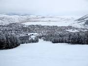 Difficult slope Grizzly