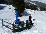 Barney handle tow for the little ones