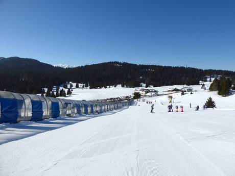 Ski resorts for beginners in Venetia (Veneto) – Beginners Folgaria/Fiorentini