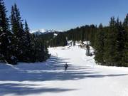 Märchenwiesen descent Planai