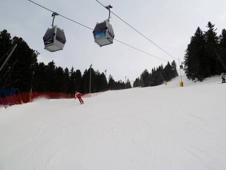 Sobretta-Gavia Group: Test reports from ski resorts – Test report Santa Caterina Valfurva