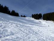 Difficult Weiherkopf FIS men's downhill