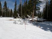 Snow cannons in Snowmass