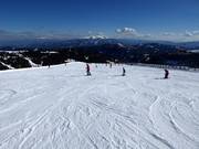 Easy slope at the Lachtal chairlift