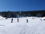 Easy slope Pod Zámečkem