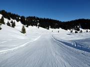 Easy family slope in Grasgehren