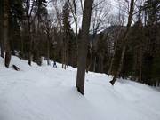 Challenging forest run La Chûte