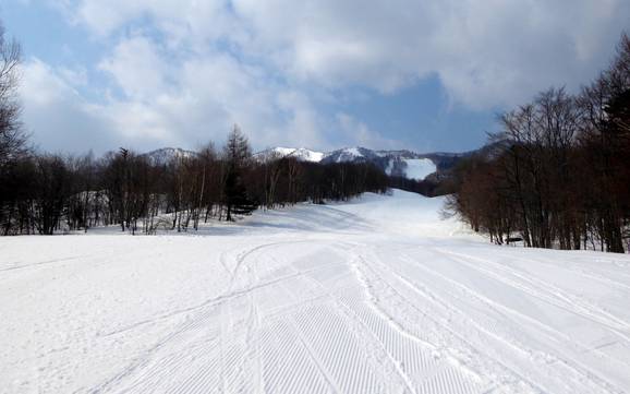 Slope offering Prince Snow Resorts – Slope offering Furano