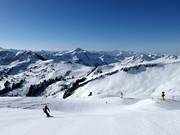 Hohe Wacht downhill run