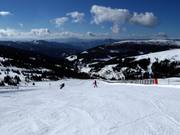 Easy slope Kircherlhang