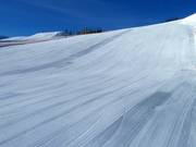 Perfect slope in Alpendorf