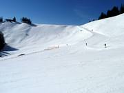 View of the Horngratabfahrt slope