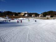 Neveland Bertoldi with conveyor belts