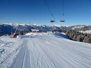 Sodoleuvre Bleue slope (Gryon)