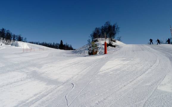 Family ski resorts Southern Norway (Sørlandet) – Families and children Hovden