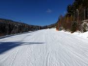 Easy Lella run to the valley station