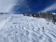 Mogul slope at the Mitterhausbahn (Planai)