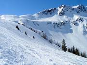 Freeride area at Zweitausender