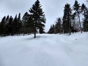 Challenging mogul slope at Mont-Sainte-Anne