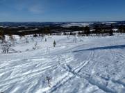 Open ski terrain/off-piste skiing