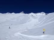 Downhill Wisses -Täli