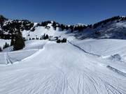 Easy slope Hühnerspiel-Lochstafel